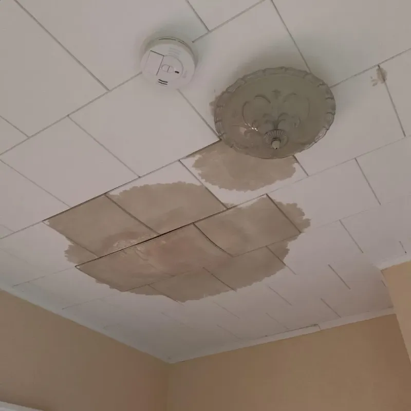 Ceiling Water Damage Repair in Shapleigh, ME