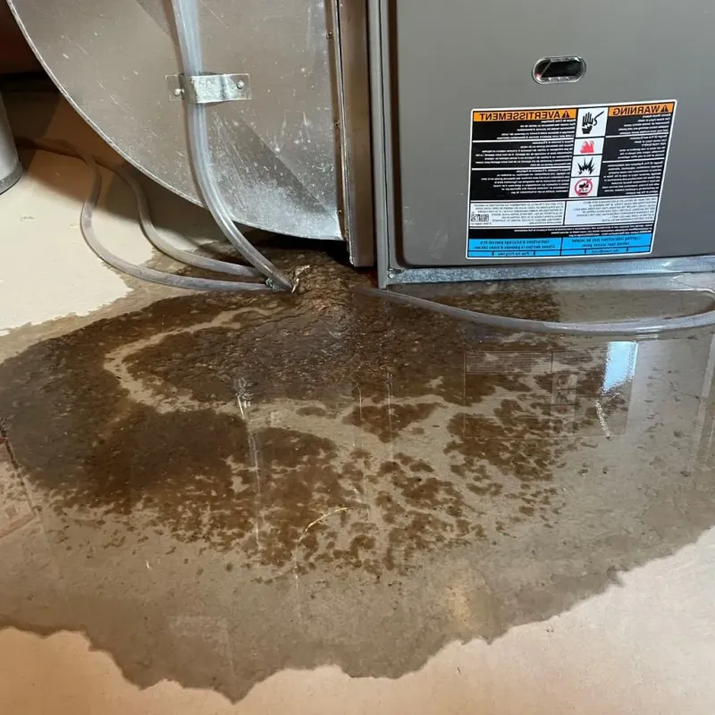 Pipe Burst and Leak Restoration in Shapleigh, ME