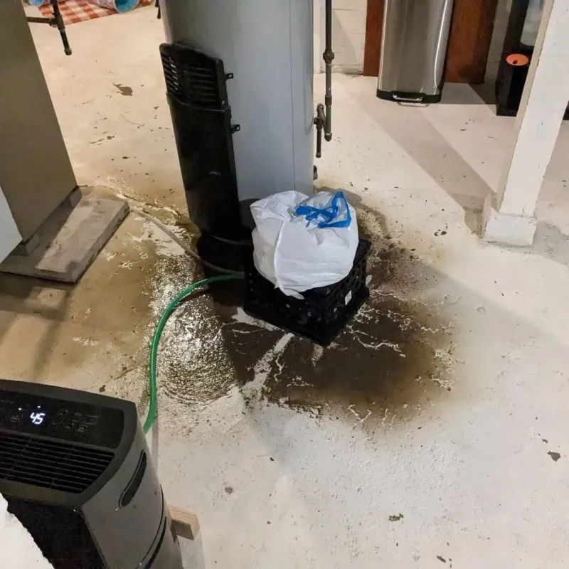 Sewage Backup Cleanup Service in Shapleigh, ME